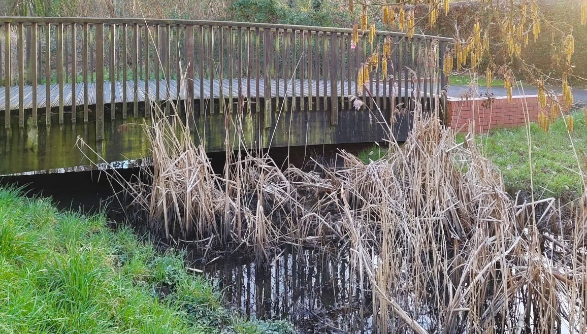Wooden footbridge crossing a watercourse on the Waterways housing development, Oxford