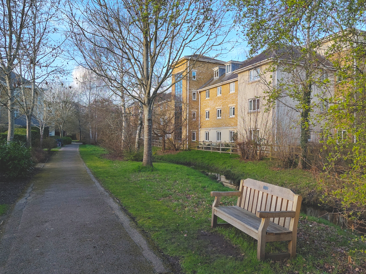 A wooden seat or bench next to a watercourse on the Waterways Oxford housing development